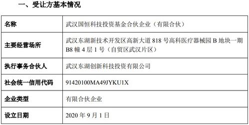 華工科技股份轉(zhuǎn)讓取得新進(jìn)展 國(guó)恒基金通過(guò)受讓審核
